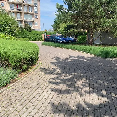 Boothuis Ter Vaart *